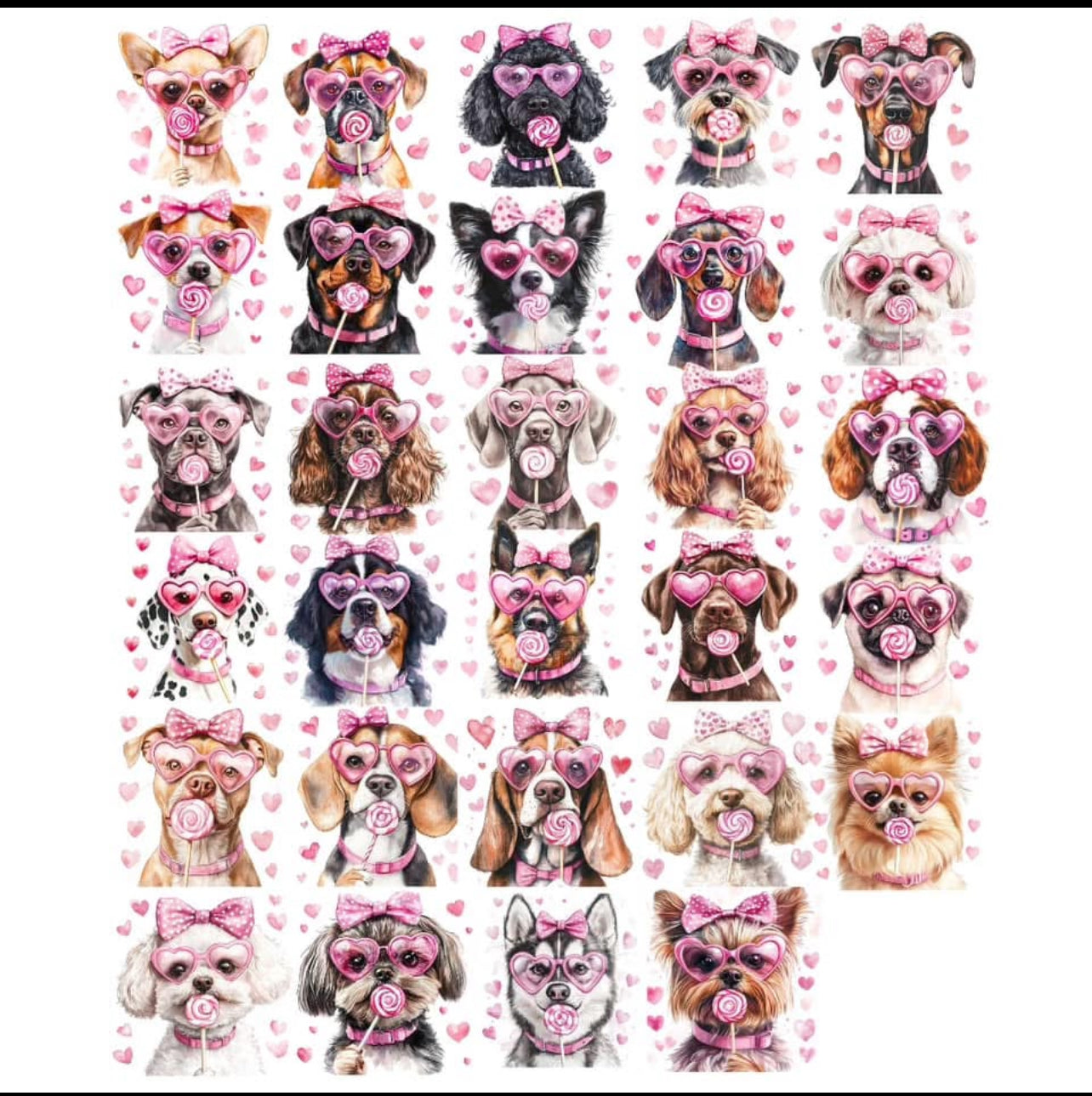 Your Valentine doggy(breeds available on chart) t shirt or sweatshirt !