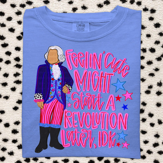 Feelin cute T-shirt, or sweatshirt