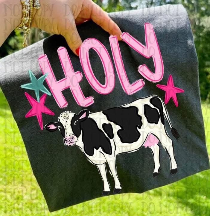 Holy 🐄 T-shirt, or sweatshirt