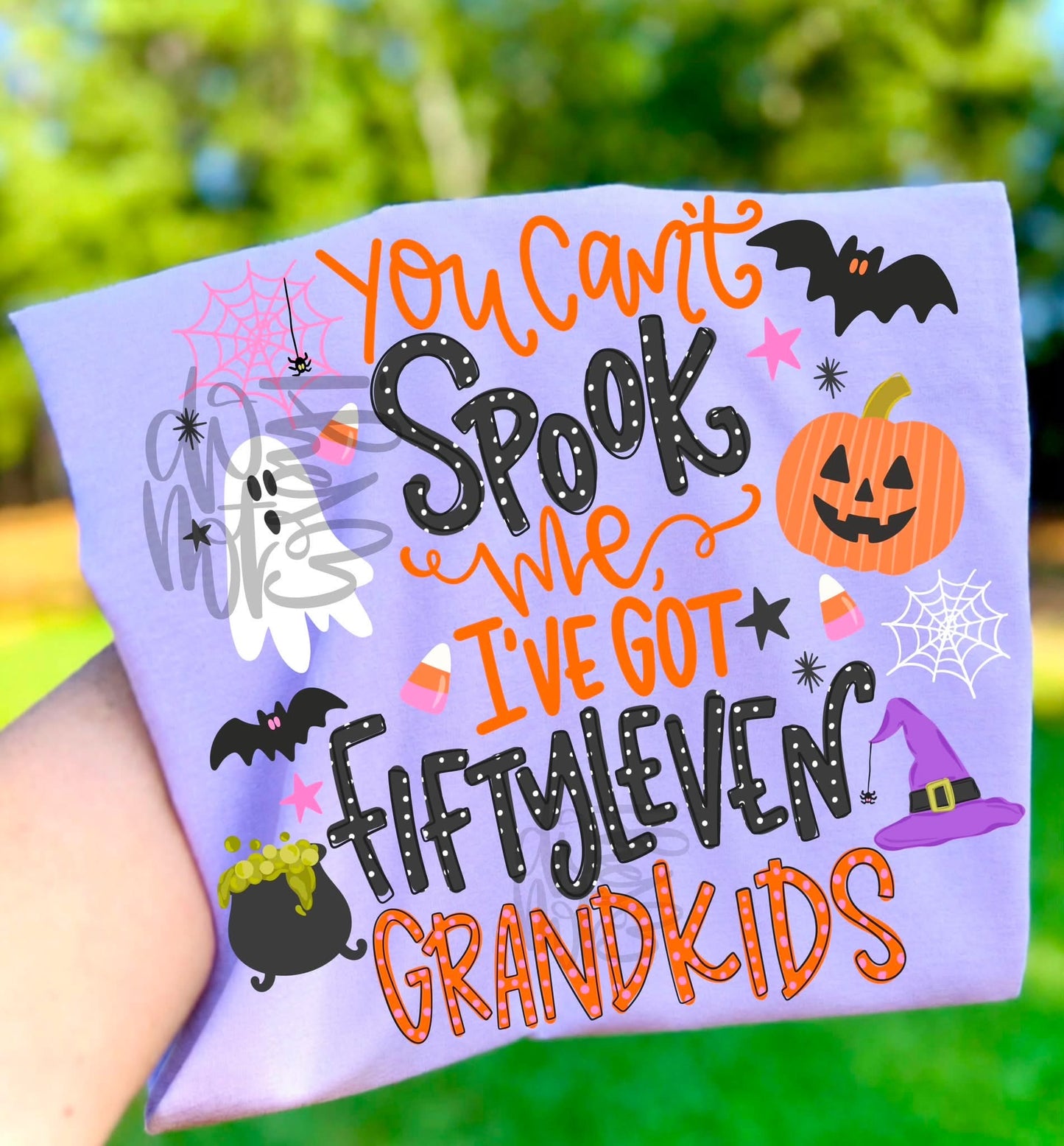 Can’t spook me T-shirt, or sweatshirt