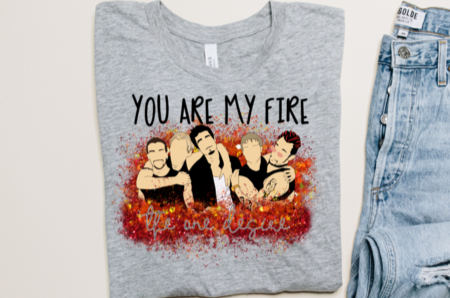 You are my fire T-Shirt